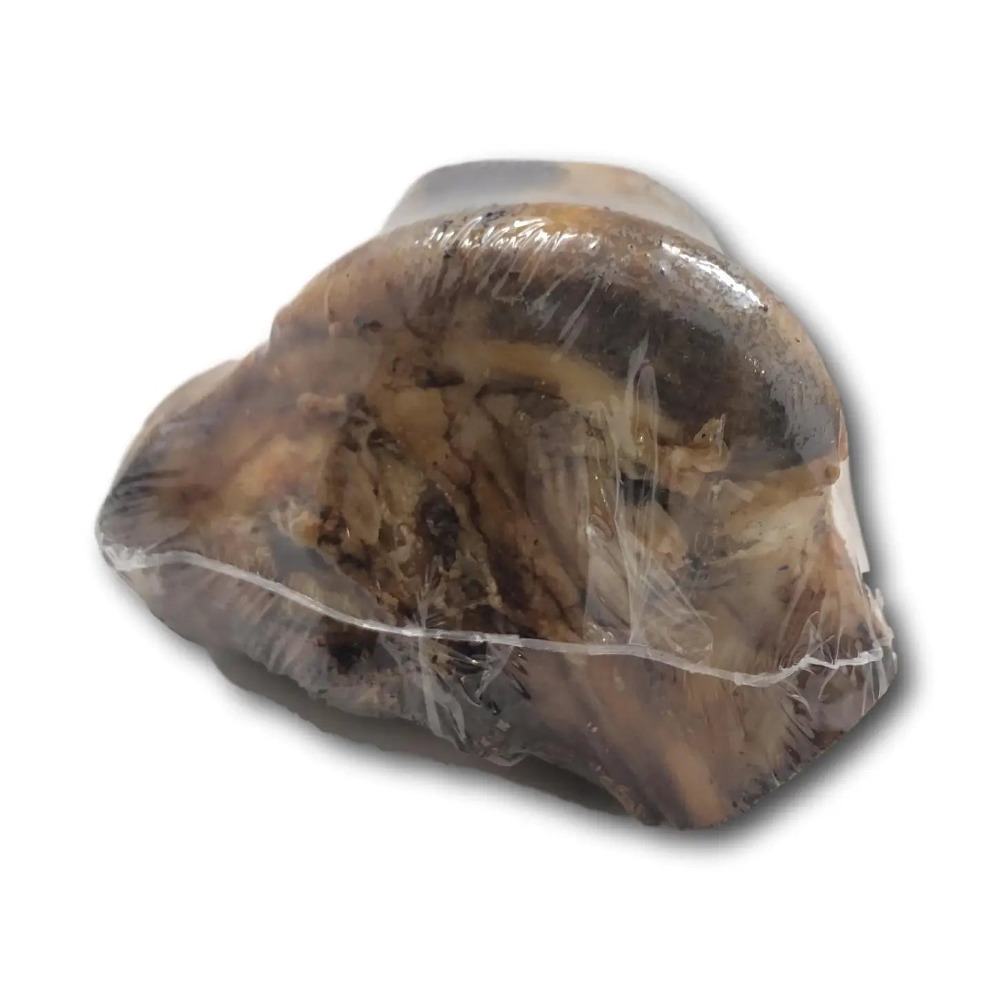 Chew Bar | Beef Femur Knuckle Dog Chew