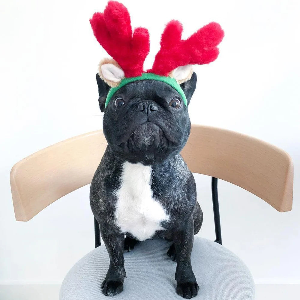 Reindeer Antlers Pet Costume / ZippyPaws