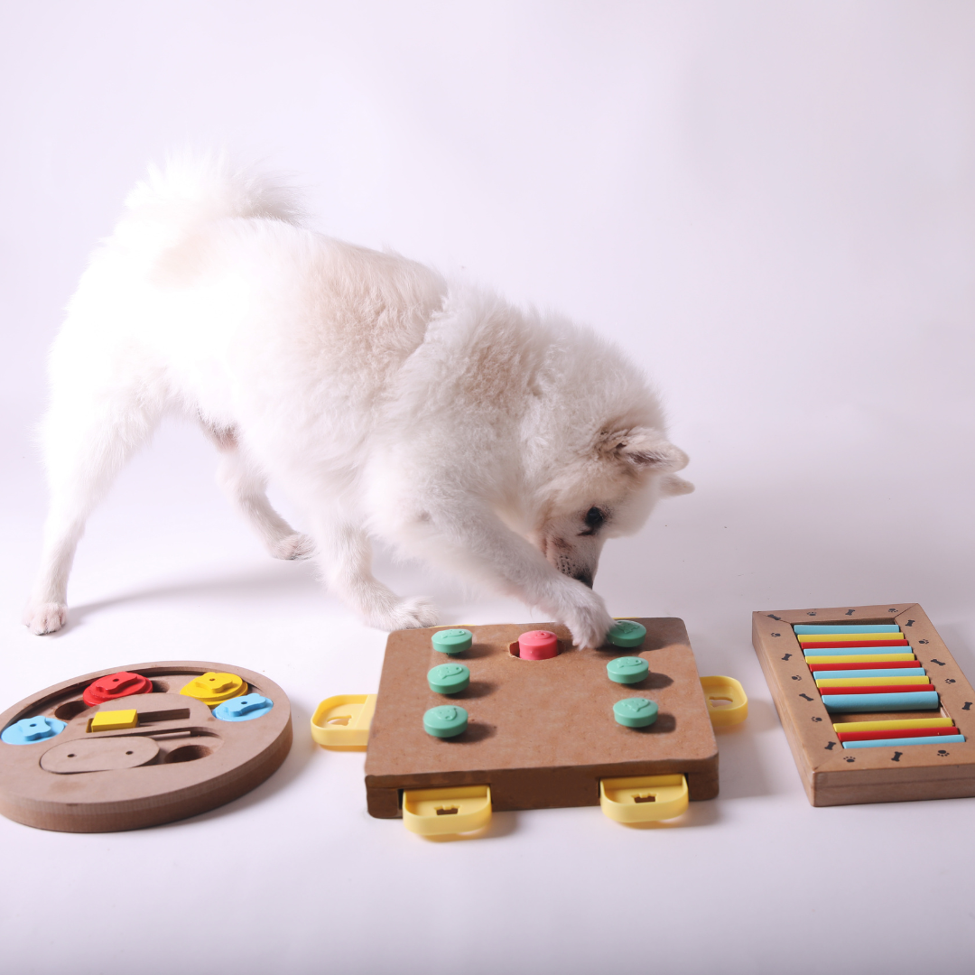 Dog Toys