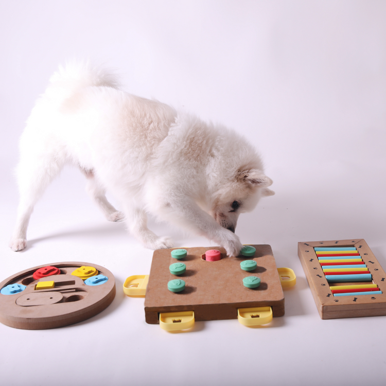 Dog Toys