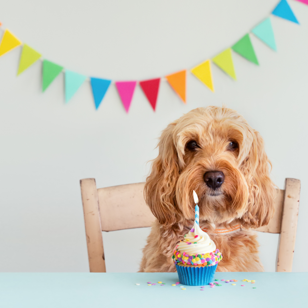 Birthday