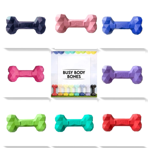 The Modern Pet Company Busy Body Bone Dog Toy