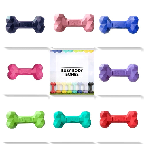 The Modern Pet Company Busy Body Bone Dog Toy