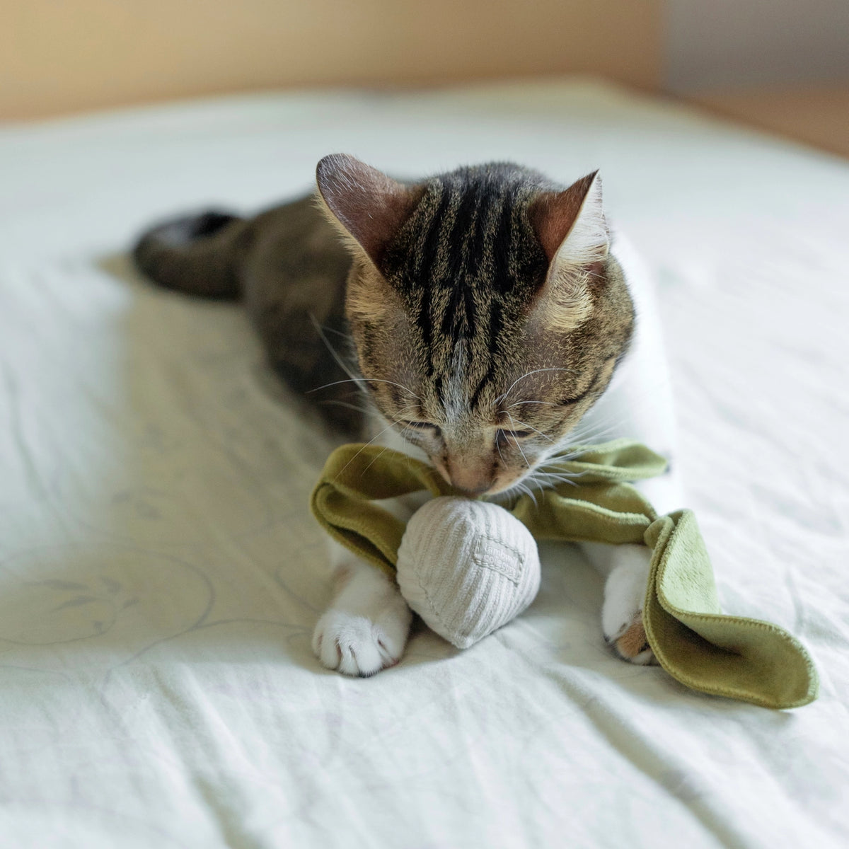 Kitty Radish Catnip Toy