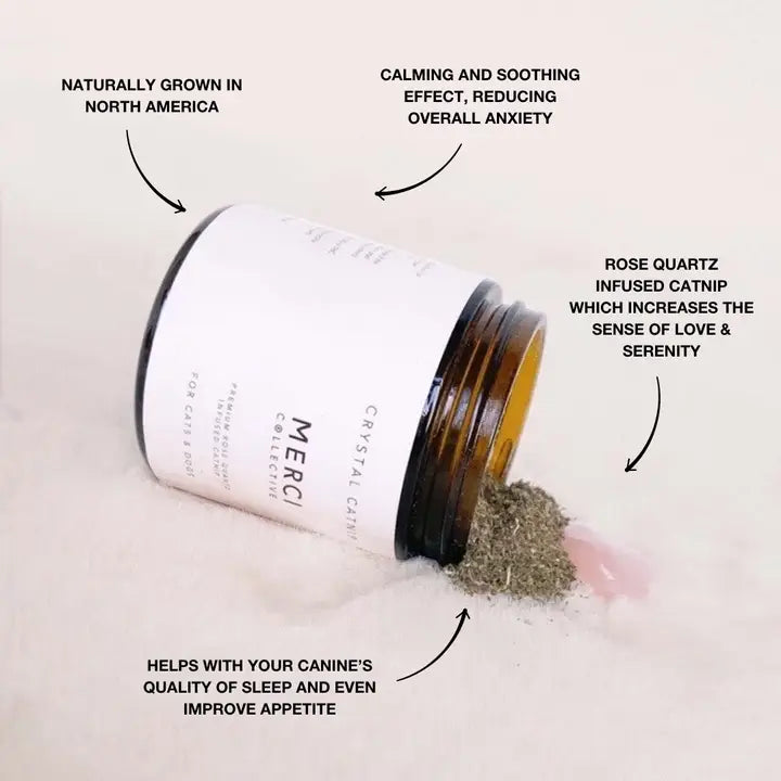 Merci Collective Rose Quartz Infused Catnip Jar