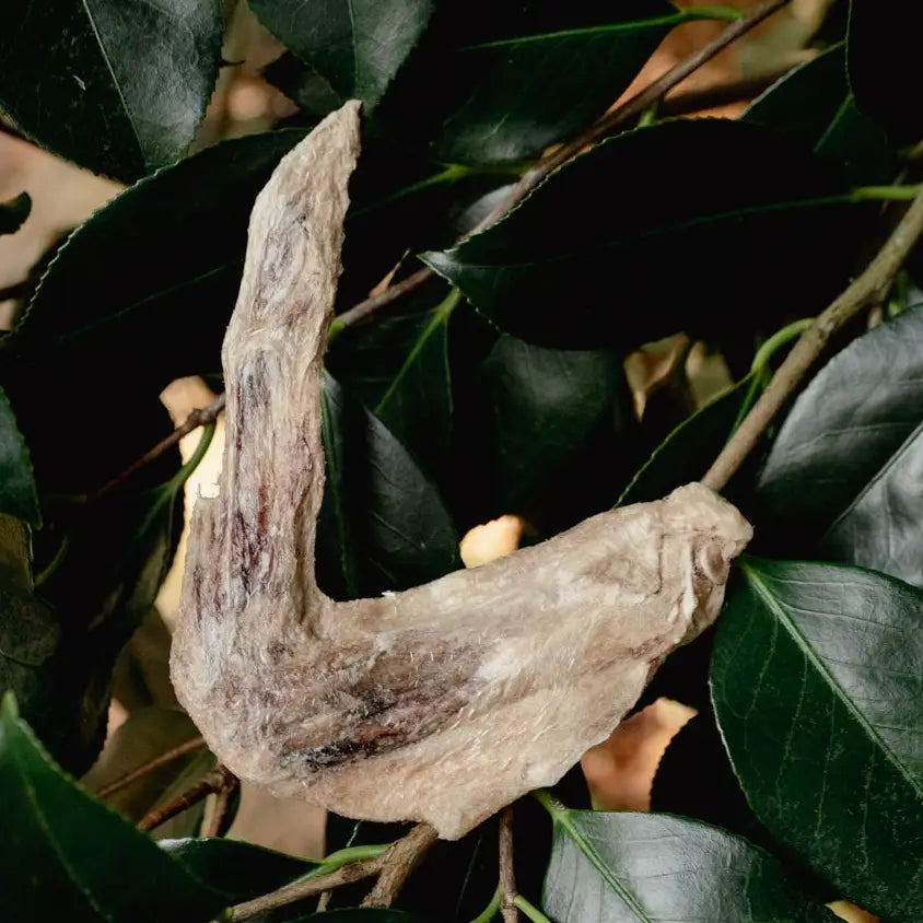 Build-A-Board | Freeze Dried Duck Wing Chew