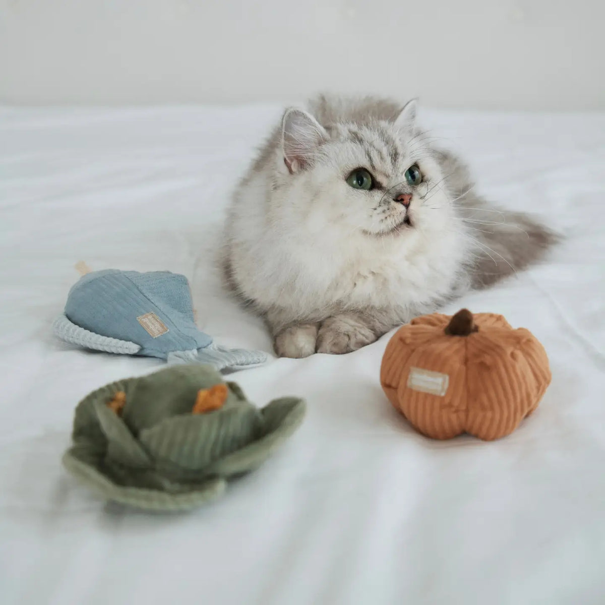 Kitty Veggie Set // Catnip Cat Toys / Lambwolf