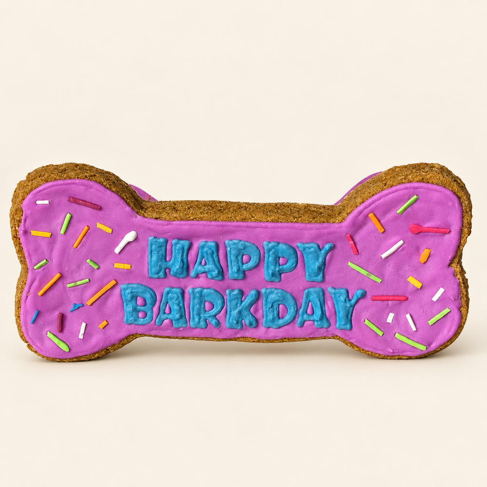 Iced Pumpkidoodles / Birthday Bone
