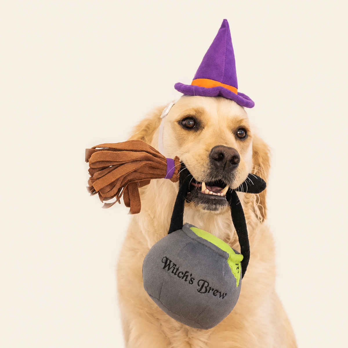 Howl-O-Ween Costume Kit // ZippyPaws