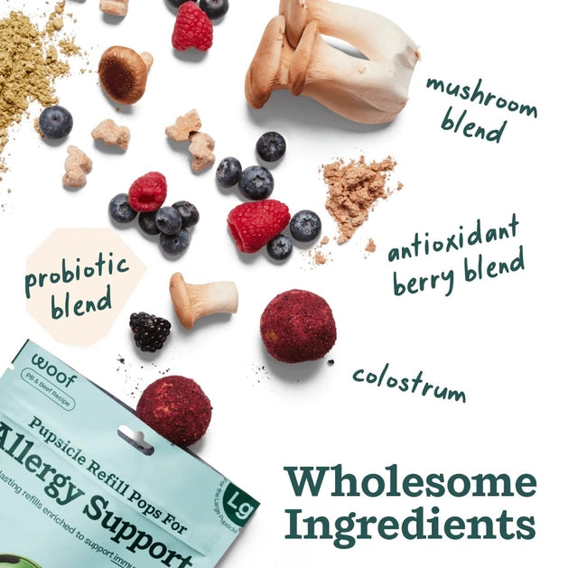 Woof Allergy & Immunity Wellness Pupsicle Pops Functional Dog Treats