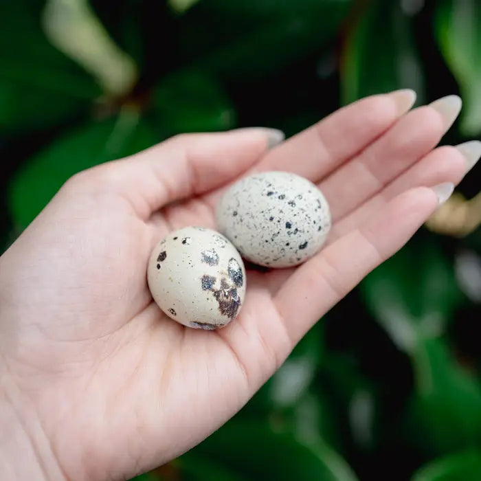 Build-A-Board Freeze Dried Dog & Cat Treats | Love Liparu