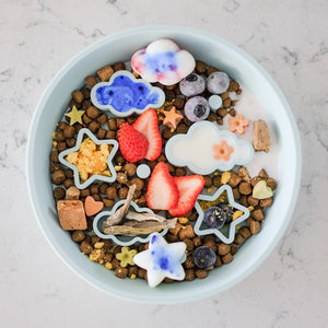 Pet Pawcuterie Board | Emery Pets Star + Cloud Slow Feeder Bowl