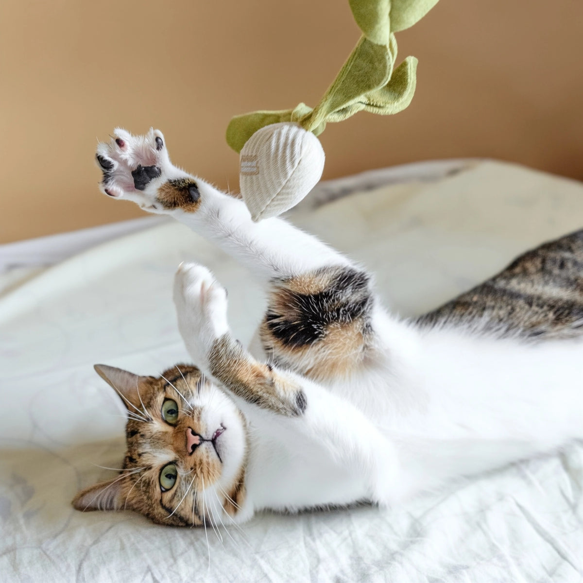 Kitty Radish Catnip Toy