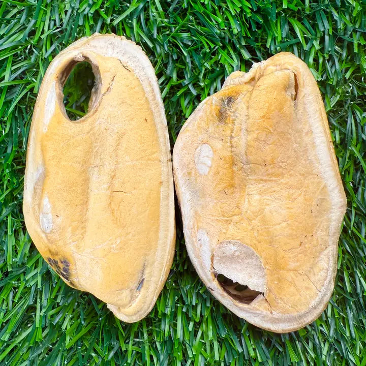 Build-A-Board | Freeze-Dried New Zealand Green-Lipped Mussel / Large