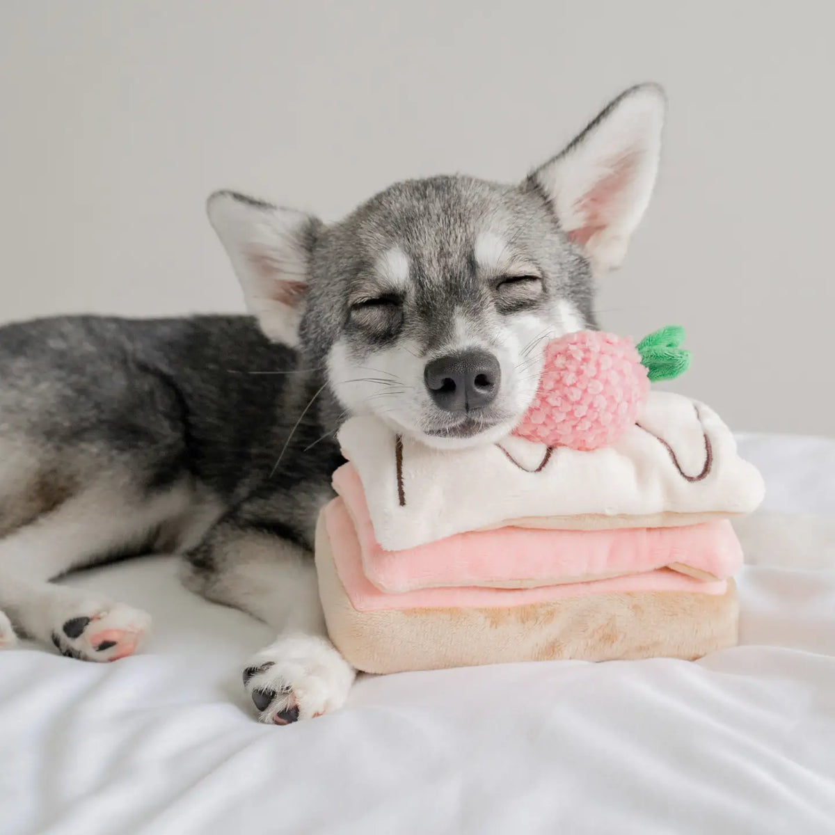 Strawberry Mille-Feuille Nosework Toy / Pups & Bubs