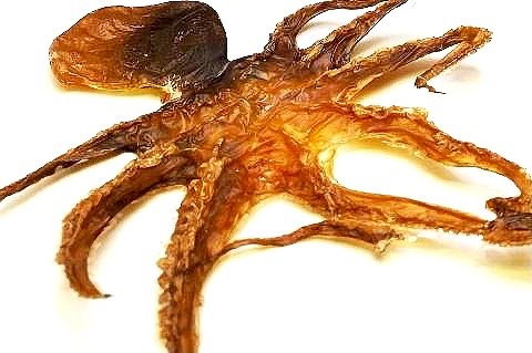 Build-A-Board | Dehydrated Baby Octopus Dog Chew