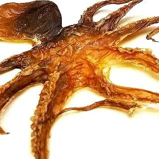 Build-A-Board Dehydrated Dog Chew Treats | What The Raw