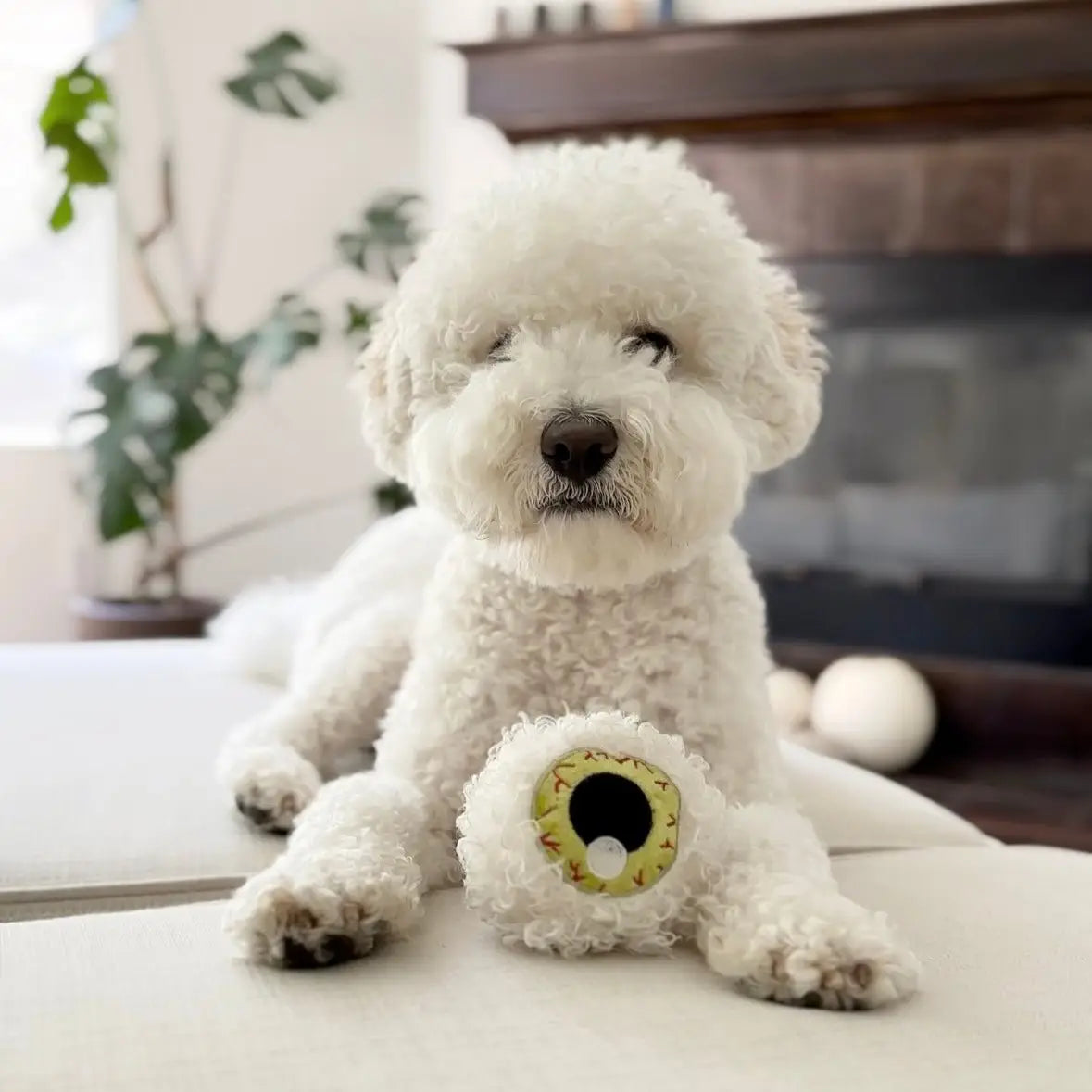 Spooky Eye // Halloween Toy / Lambwolf