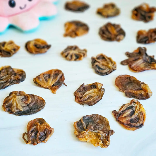 Build-A-Board | Dehydrated Mini Baby Octopus Dog Chew