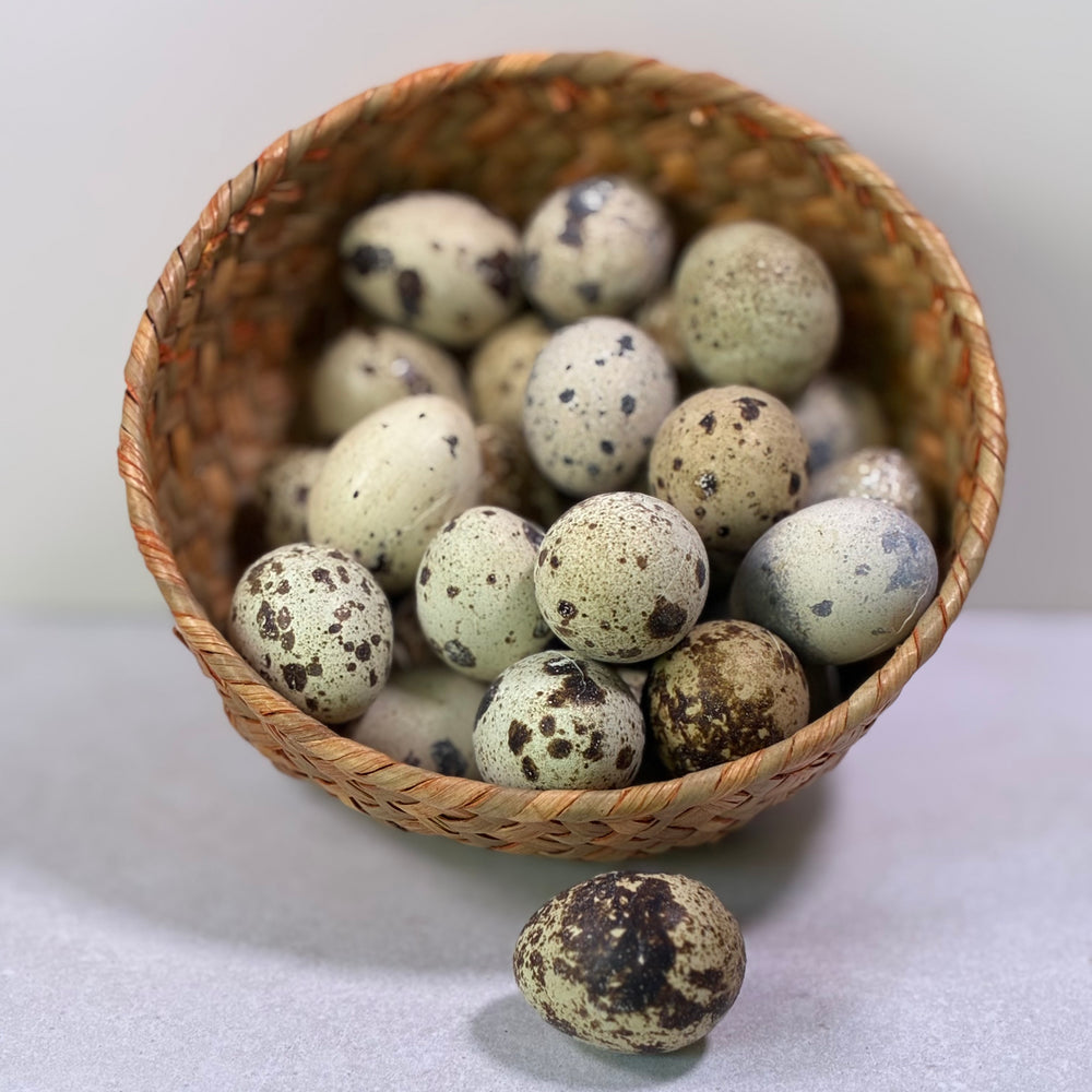 Build-A-Board | Freeze Dried Quail Egg Chew