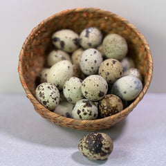 Build-A-Board | Freeze Dried Quail Egg Chew
