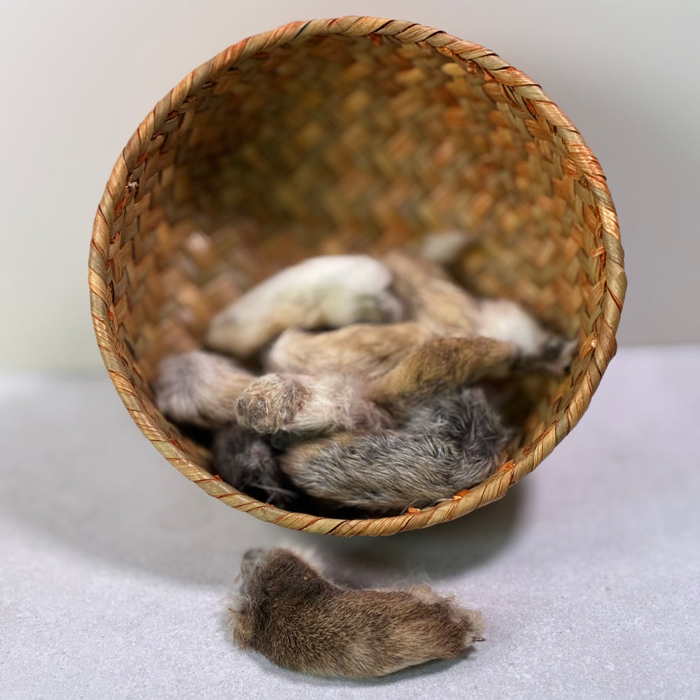Build-A-Board | Dehydrated Rabbit Front Paw Chew