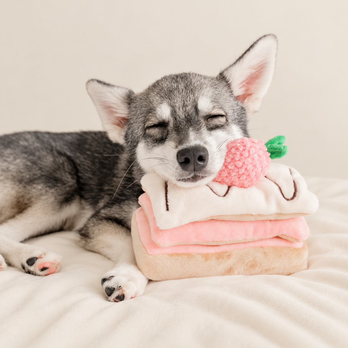 Strawberry Mille-Feuille Nosework Toy