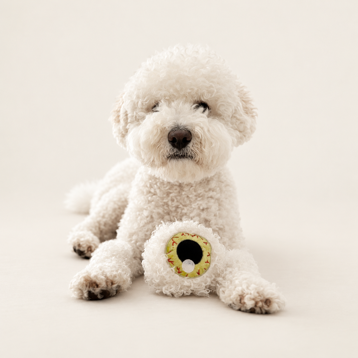 Spooky Eye Halloween Plush Dog Toy