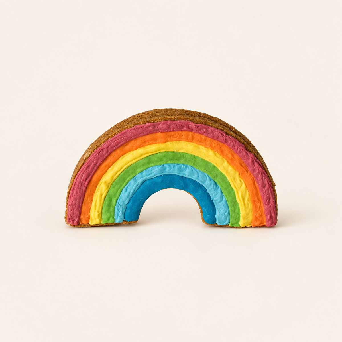 Iced Pumpkidoodles / Rainbow