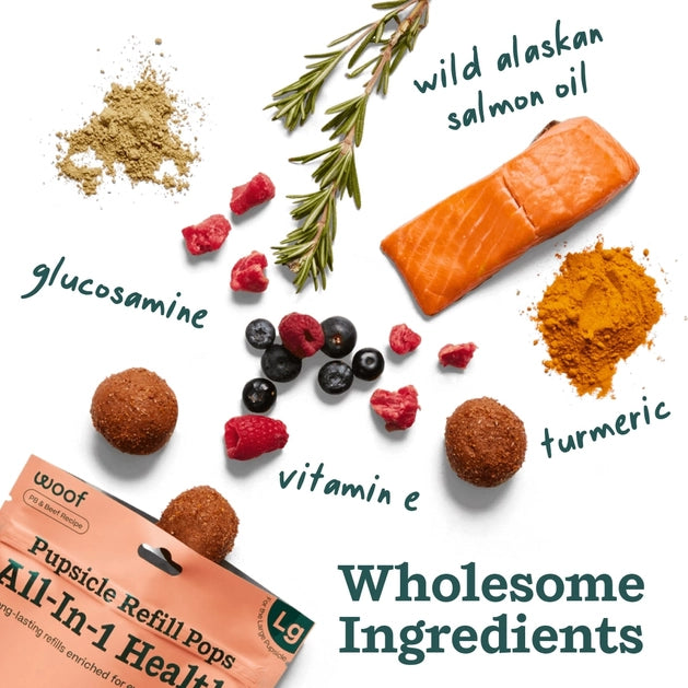 Woof All-In-1 Wellness Pupsicle Pops Functional Dog Treats