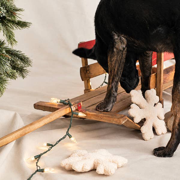 The Snowflake Plush Dog Toy