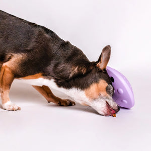 Pet Pawcuterie Board | Awoo Flying Saucer Silicone Puzzle Toy