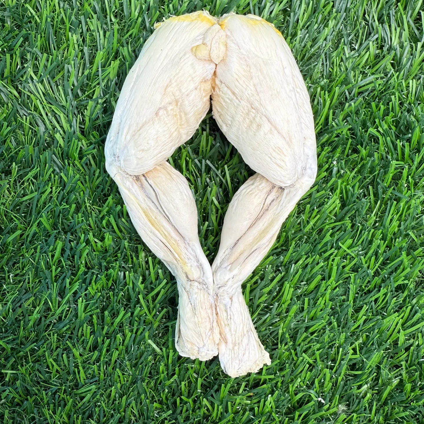 Build-A-Board | Freeze Dried Frog Legs Chew