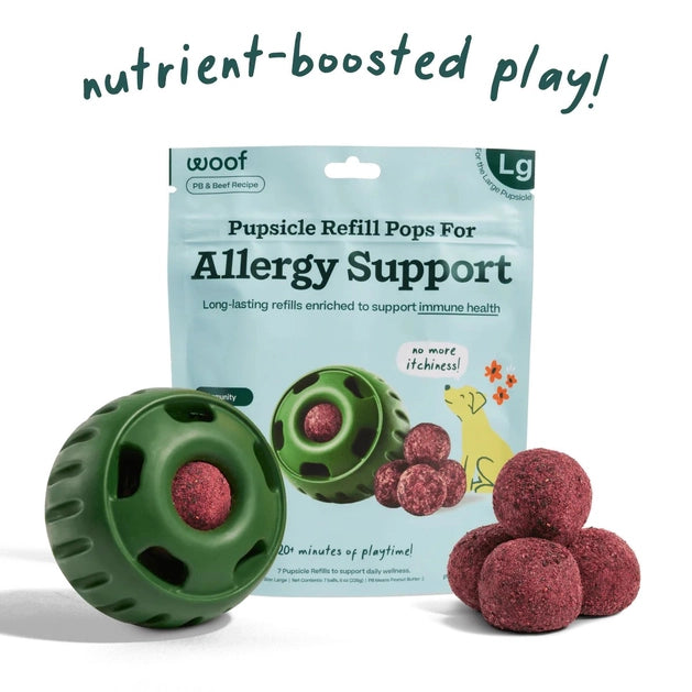 Woof Allergy & Immunity Wellness Pupsicle Pops Functional Dog Treats