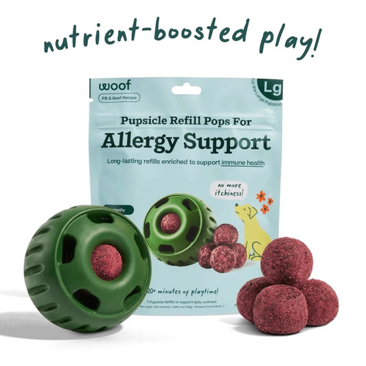 Woof Allergy & Immunity Wellness Pupsicle Pops Functional Dog Treats