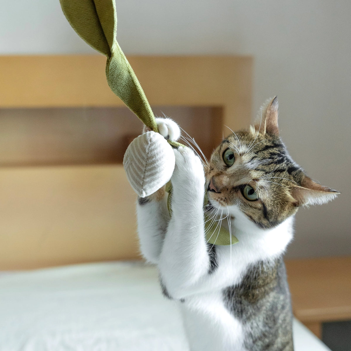 Kitty Radish Catnip Toy