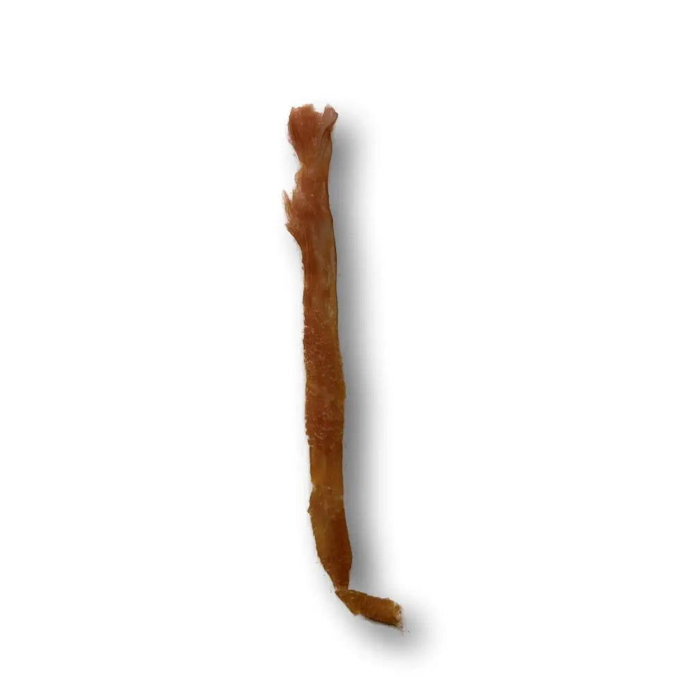 Chew Bar | Turkey Tendon Dog Chew