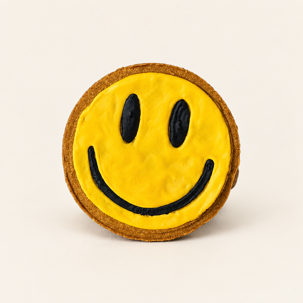 Iced Pumpkidoodles / Smiley Face